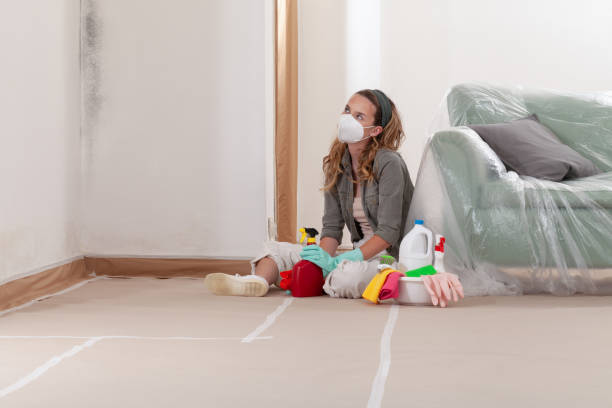 Reliable Commercial Mold Remediation contractor in Glencoe, MN by 24 Hour Mold Removal
